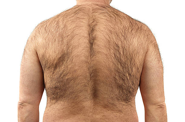 Hairy back of a man